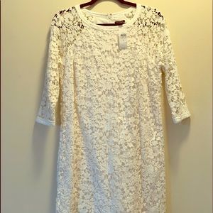 ANN TAYLOR WHITE LACE COTTON 3/4 SHEATH DRESS
